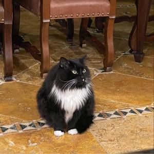 Meet your Posher, Matthew